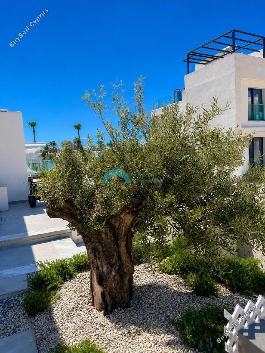 4 bedroom detached house for rent kissonerga paphos 8758398 image 16548068