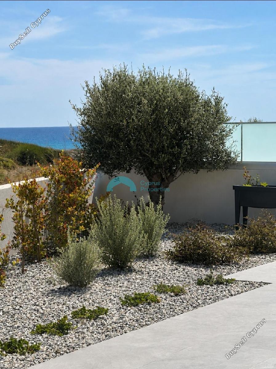 4 bedroom detached house for rent kissonerga paphos 8758398 image 16548070