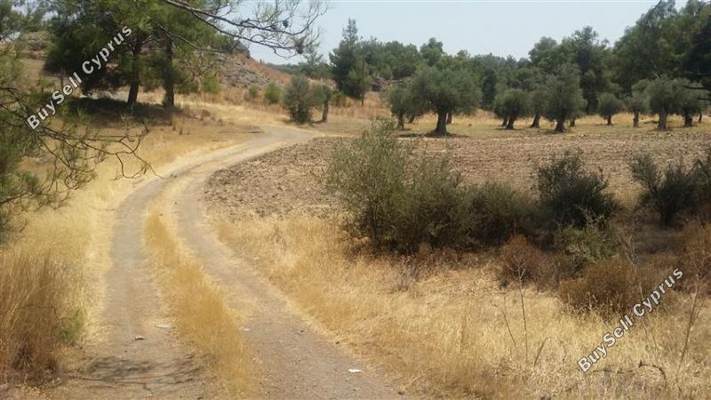land for sale lythrodontas nicosia 1098398 image 16175881