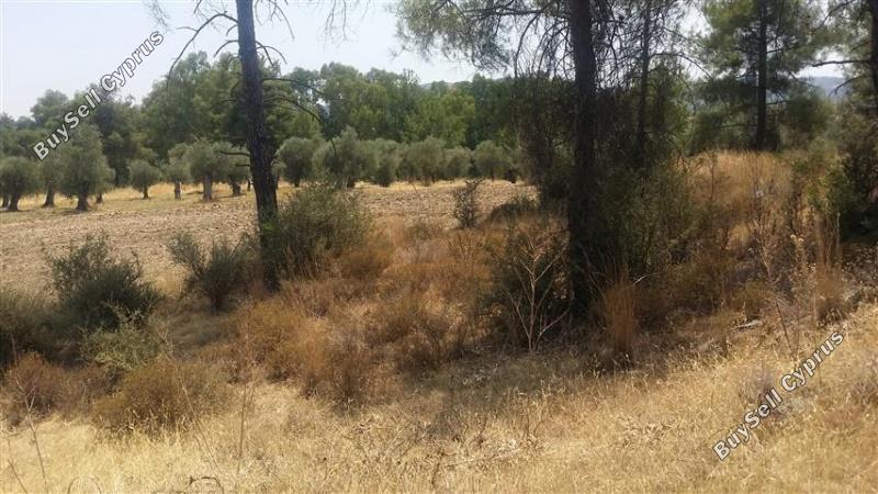 land for sale lythrodontas nicosia 1098398 image 16175883