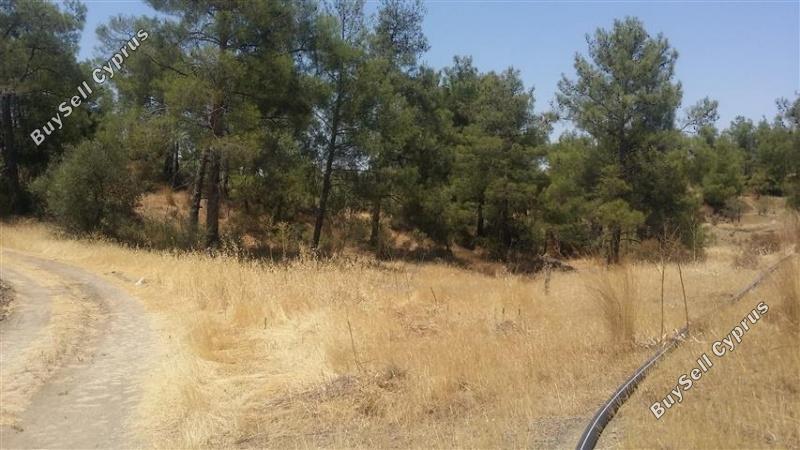 land for sale lythrodontas nicosia 1098398 image 16175885