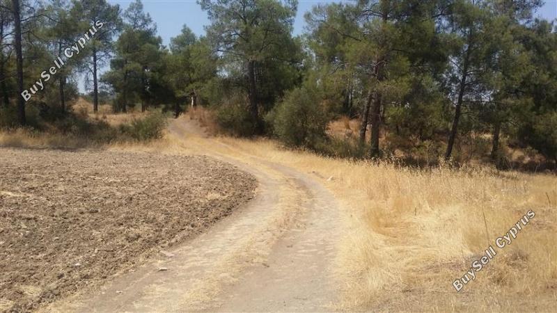 land for sale lythrodontas nicosia 1098398 image 16175888