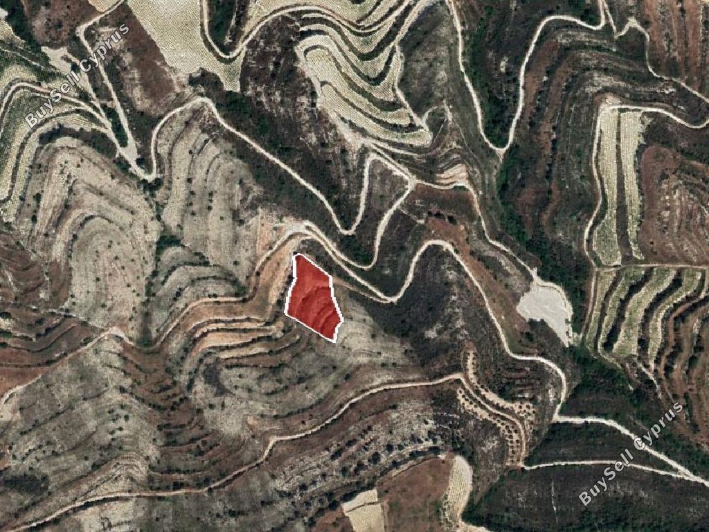 land for sale pachna limassol 967398 image 15600998