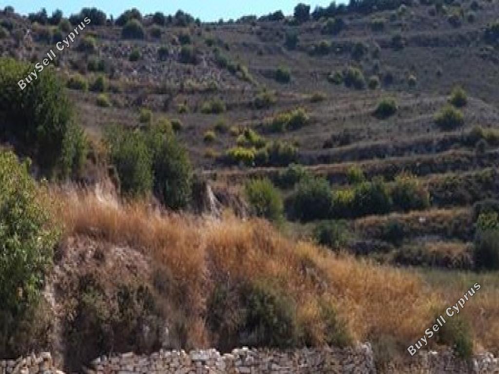land for sale pachna limassol 967398 image 17158565