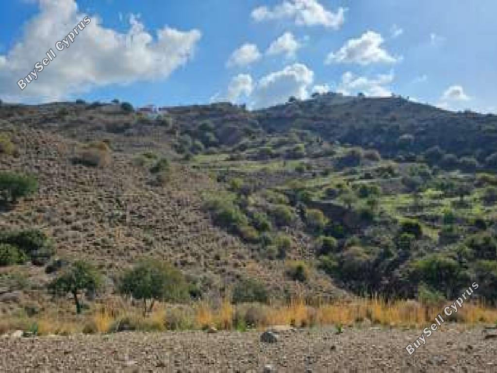 land for sale peyia paphos 1721398 image 15597070
