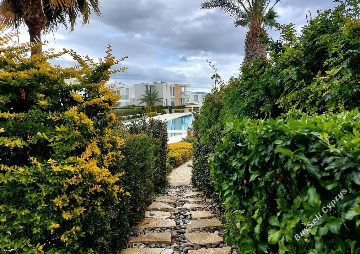 3 bedroom detached house for sale peyia paphos 7766498 image 10345243