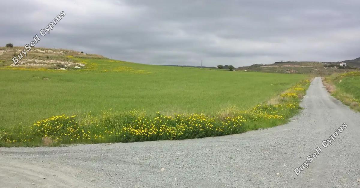 land for sale anarita paphos 8395498 image 16071245