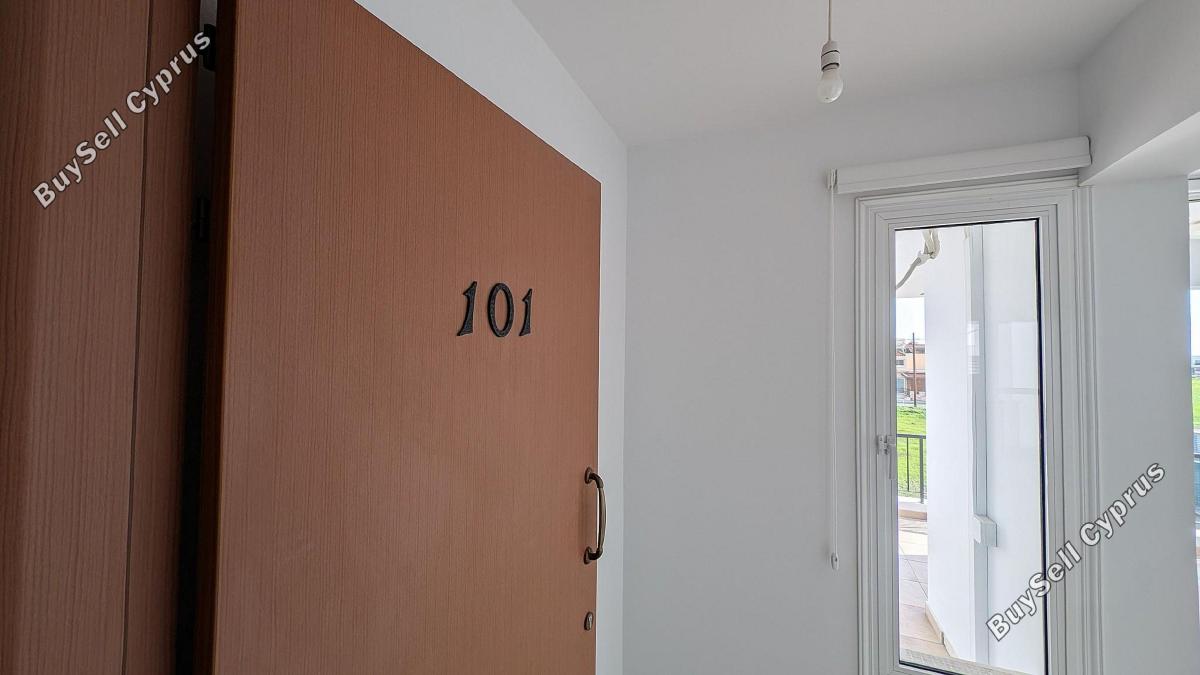 studio apartment building for sale kiti larnaca 8374498 image 14602576