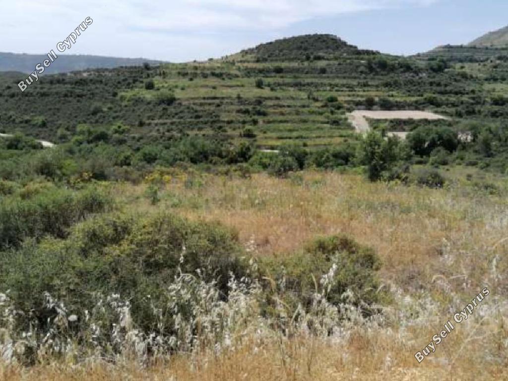 land for sale pachna limassol 944598 image 15602055