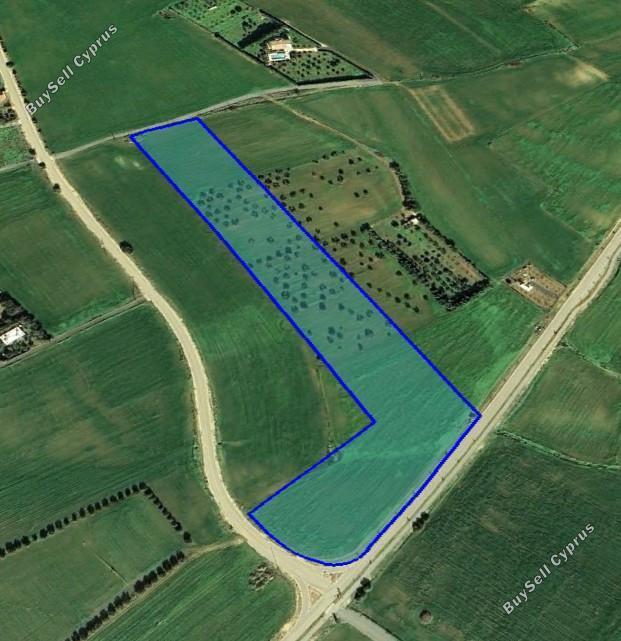 land for sale softades larnaca 1850598 image 6691773