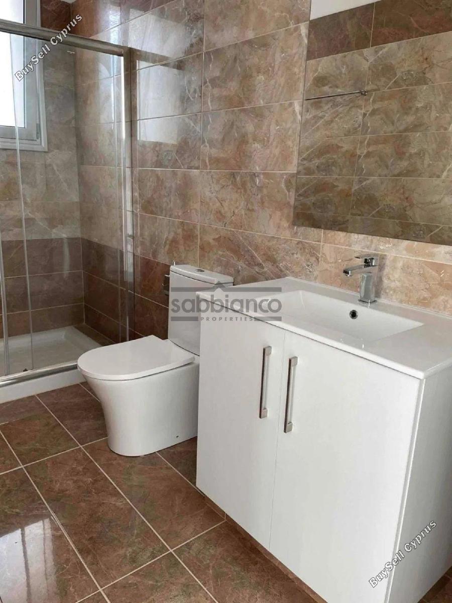 3 bedroom detached house for sale chlorakas paphos 8736698 image 16349946