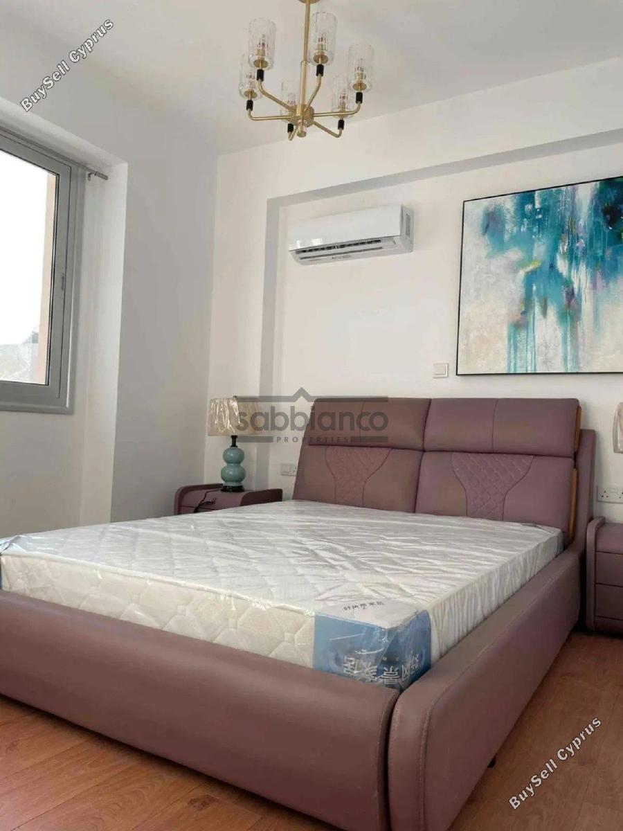 3 bedroom detached house for sale chlorakas paphos 8736698 image 16349948