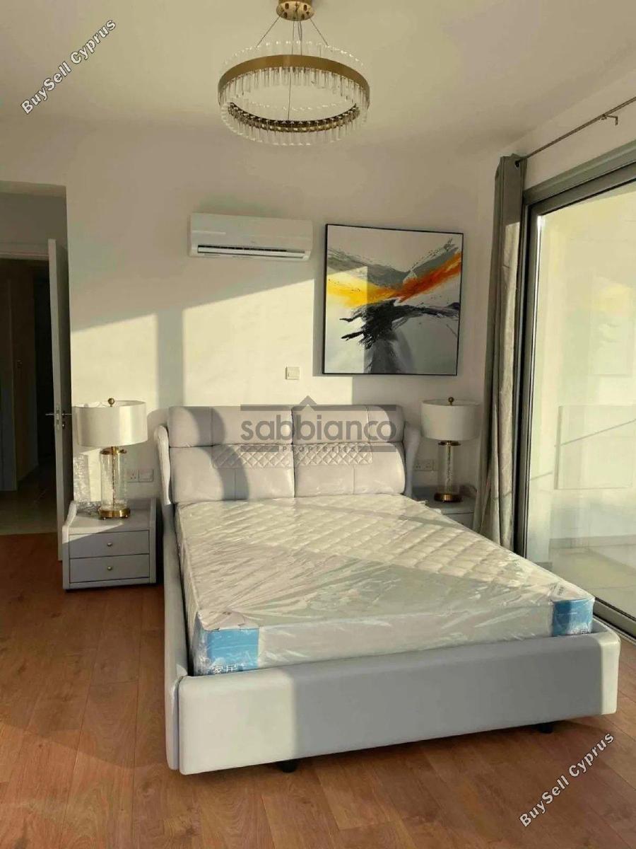 3 bedroom detached house for sale chlorakas paphos 8736698 image 16349951