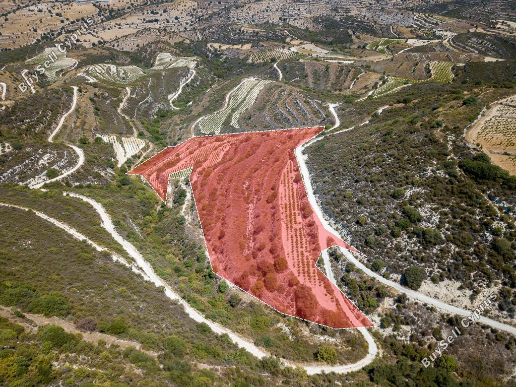 land for sale pachna limassol 8274698 image 13976435