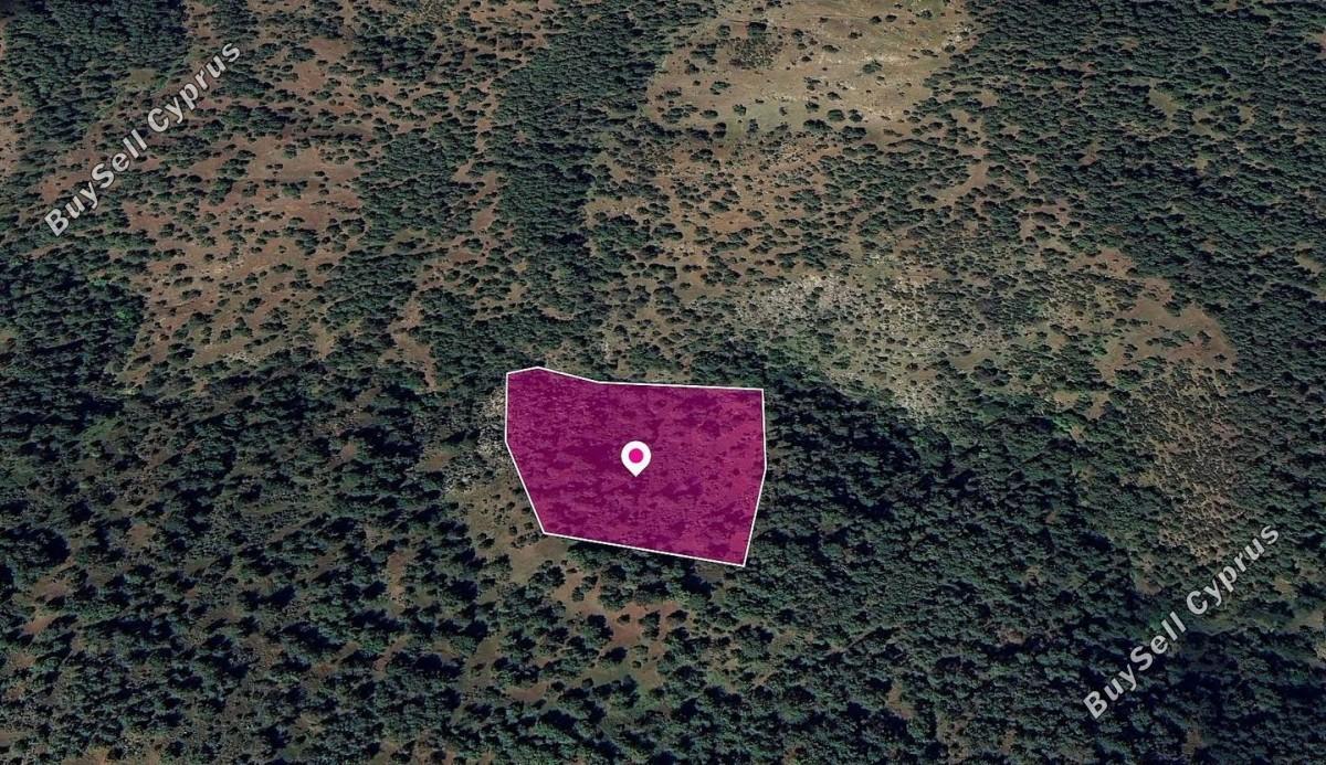 land for sale pigenia nicosia 8629698 image 15869574