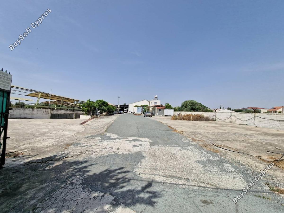 studio building for sale larnaca municipality larnaca 1824698 image 6391623