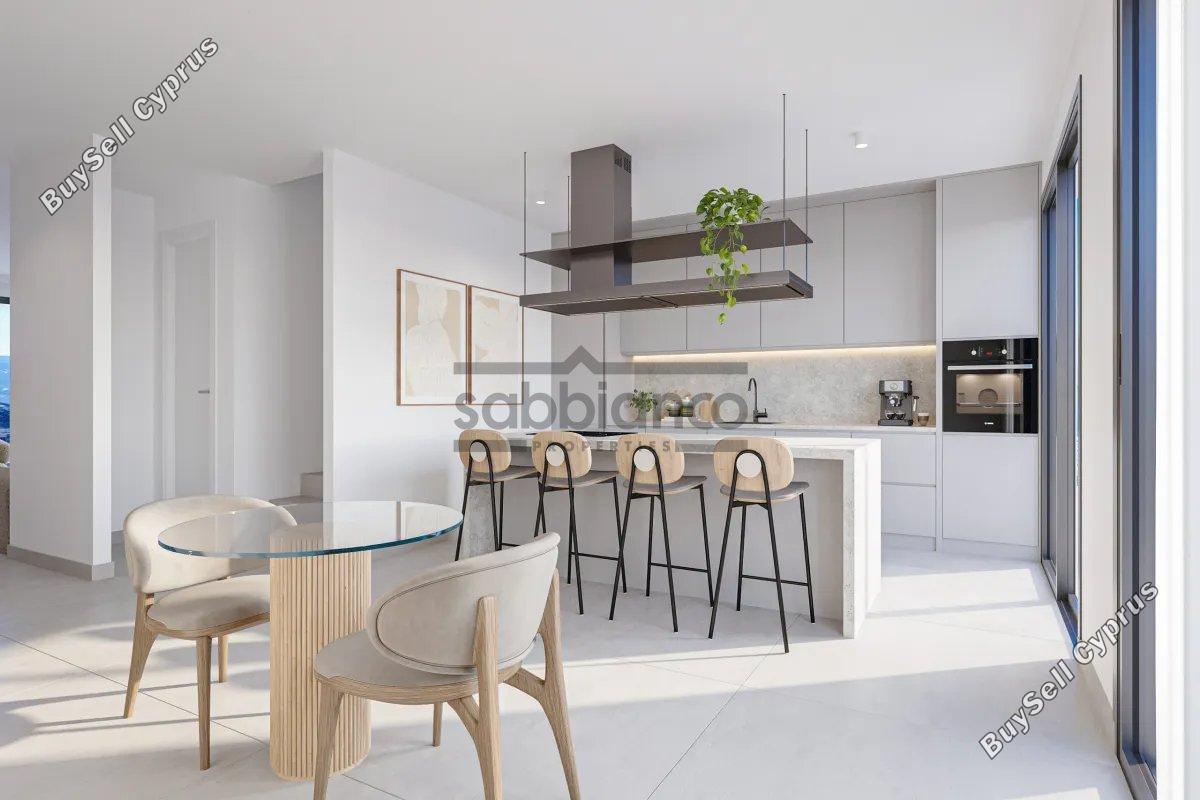 3 bedroom detached house for sale mesogi paphos 8740798 image 16386188