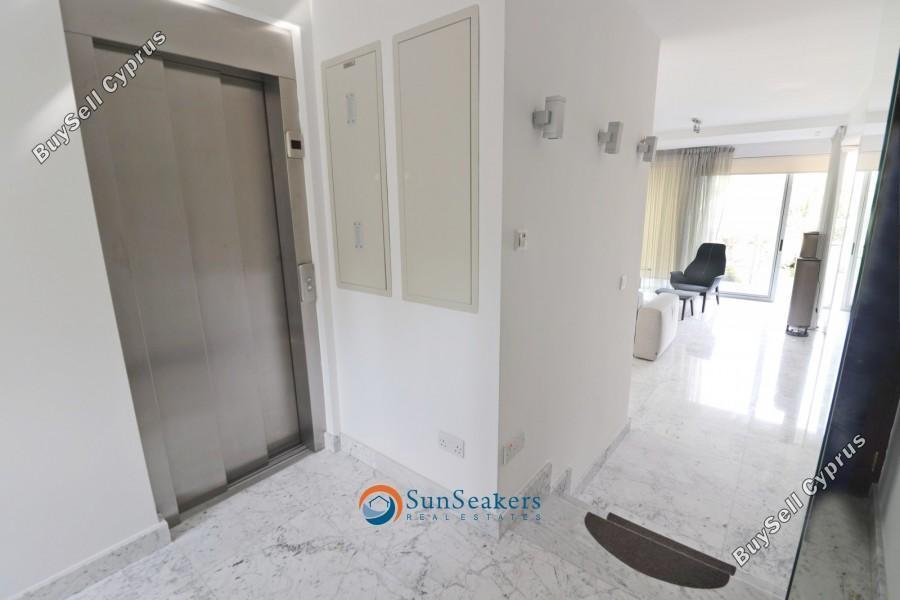 4 bedroom detached house for sale latsi paphos 8529798 image 15457498