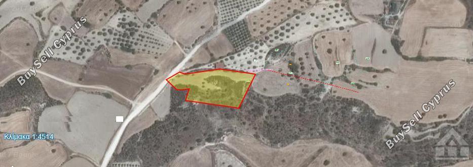 land for sale alaminos larnaca 7905798 image 17238238