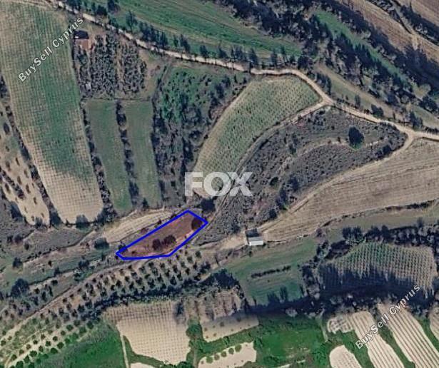land for sale letymvou paphos 8874798 image 17229455