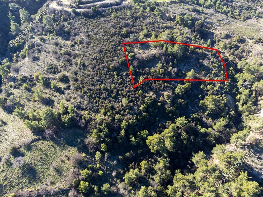 land for sale mousere paphos 839798 image 5481209