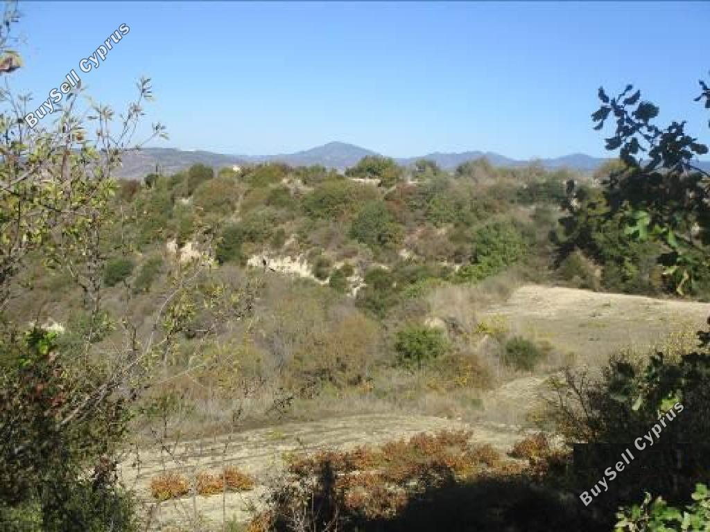 land for sale pano akourdalia paphos 869798 image 15600155
