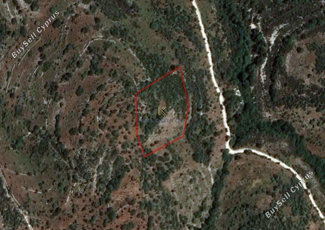 plot for sale dora limassol 1194798 image 5570733