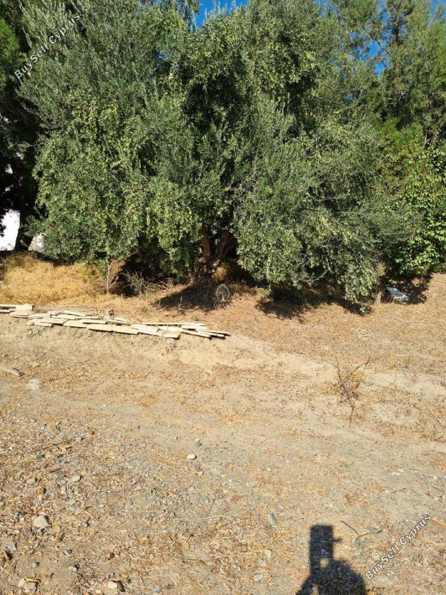 3 bedroom detached house for sale moni limassol 979898 image 9395933