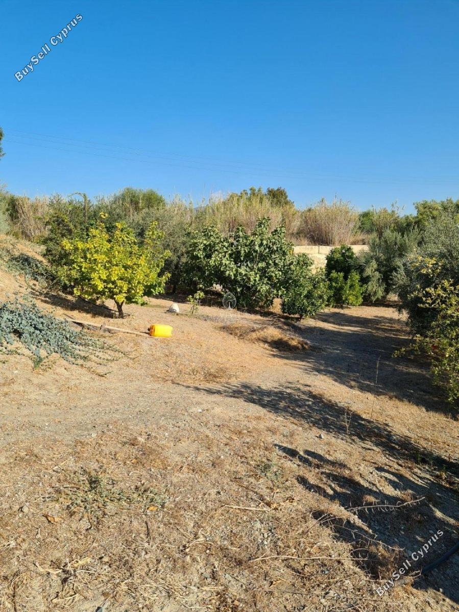 3 bedroom detached house for sale moni limassol 979898 image 9395935