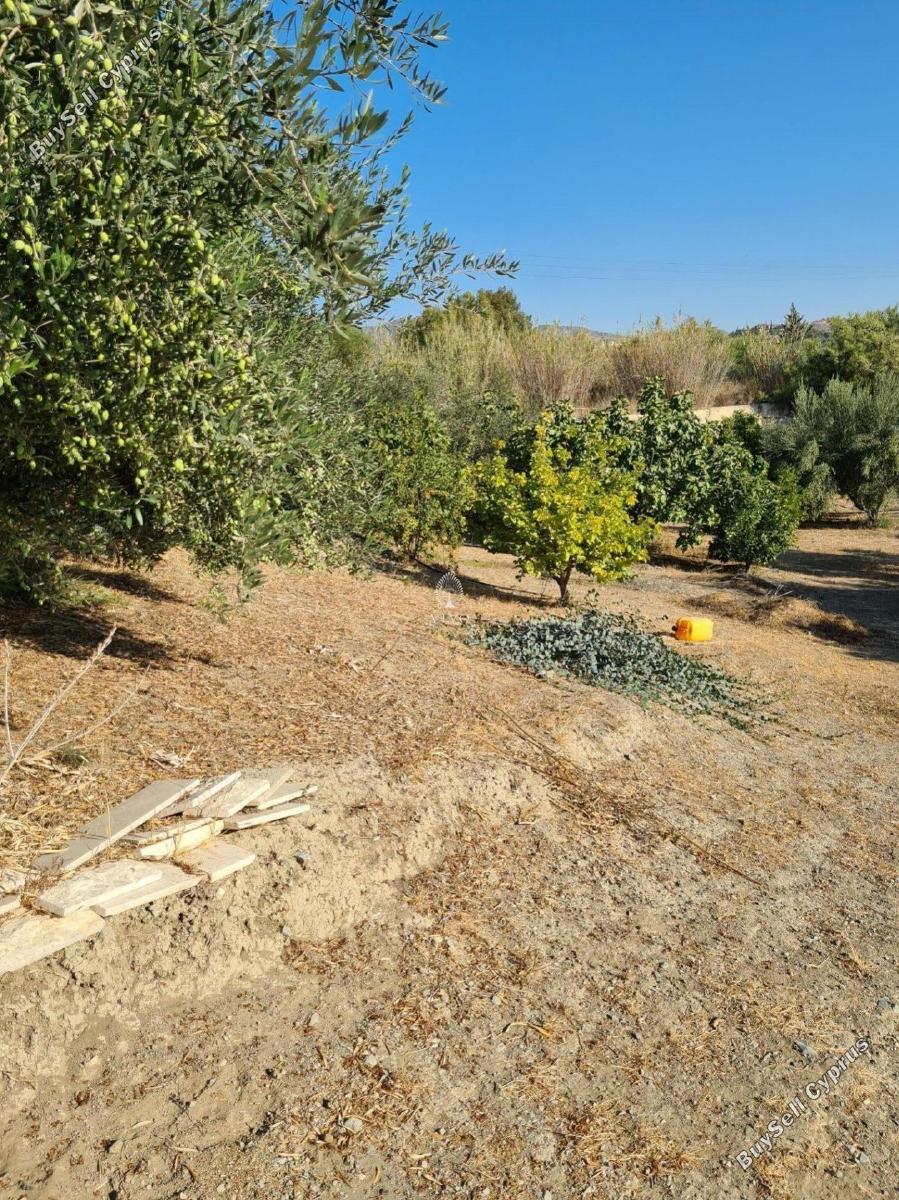 3 bedroom detached house for sale moni limassol 979898 image 9395938