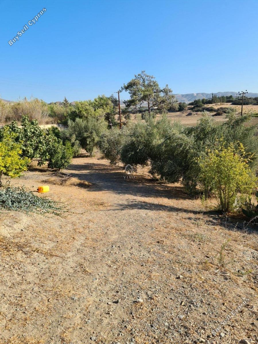 3 bedroom detached house for sale moni limassol 979898 image 9395940