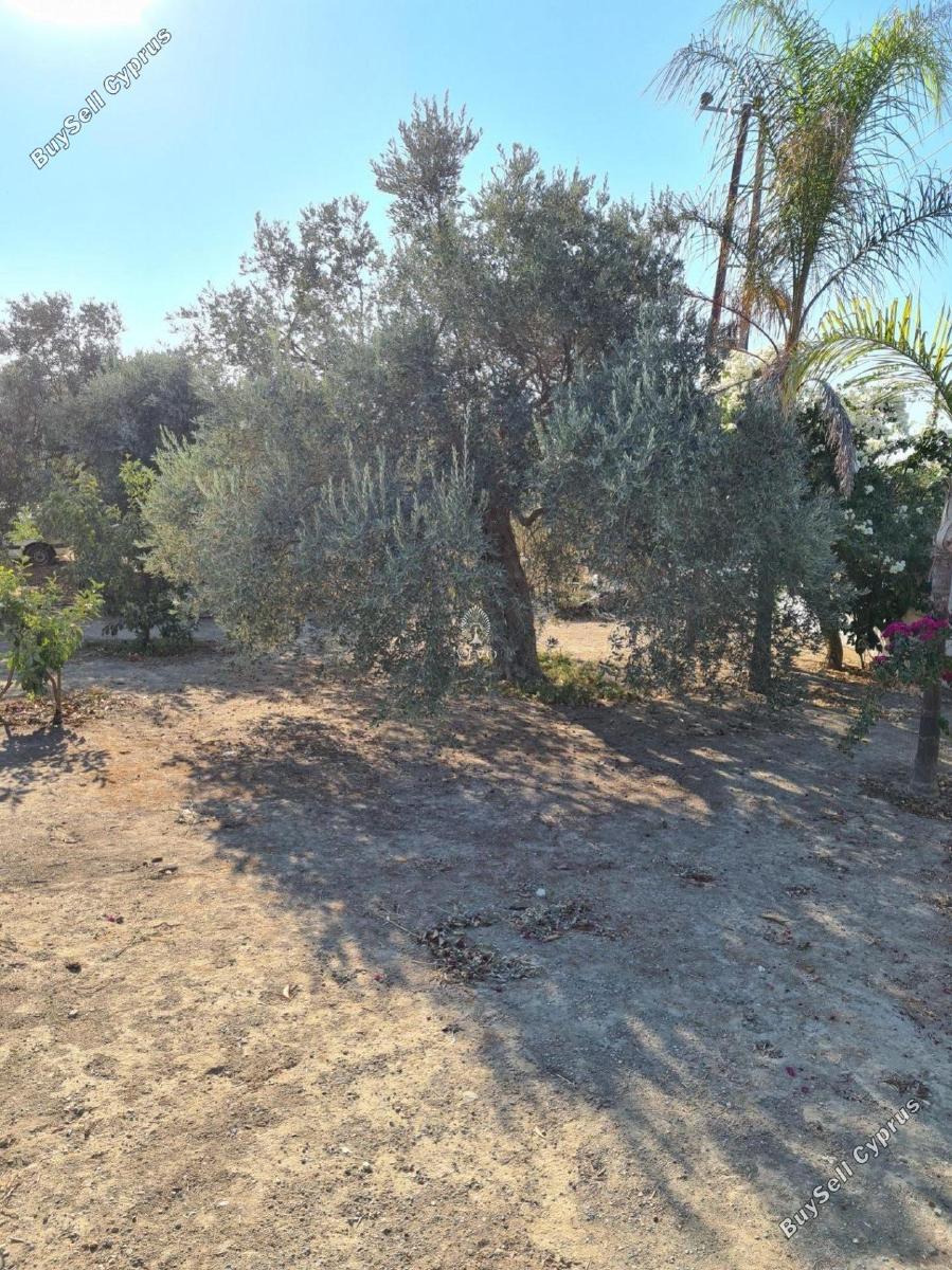 3 bedroom detached house for sale moni limassol 979898 image 9395954
