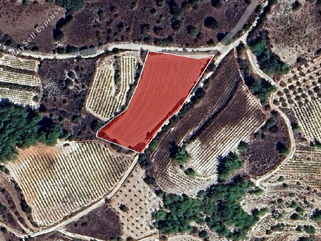 land for sale statos agios fotios paphos 8433898 image 15866821