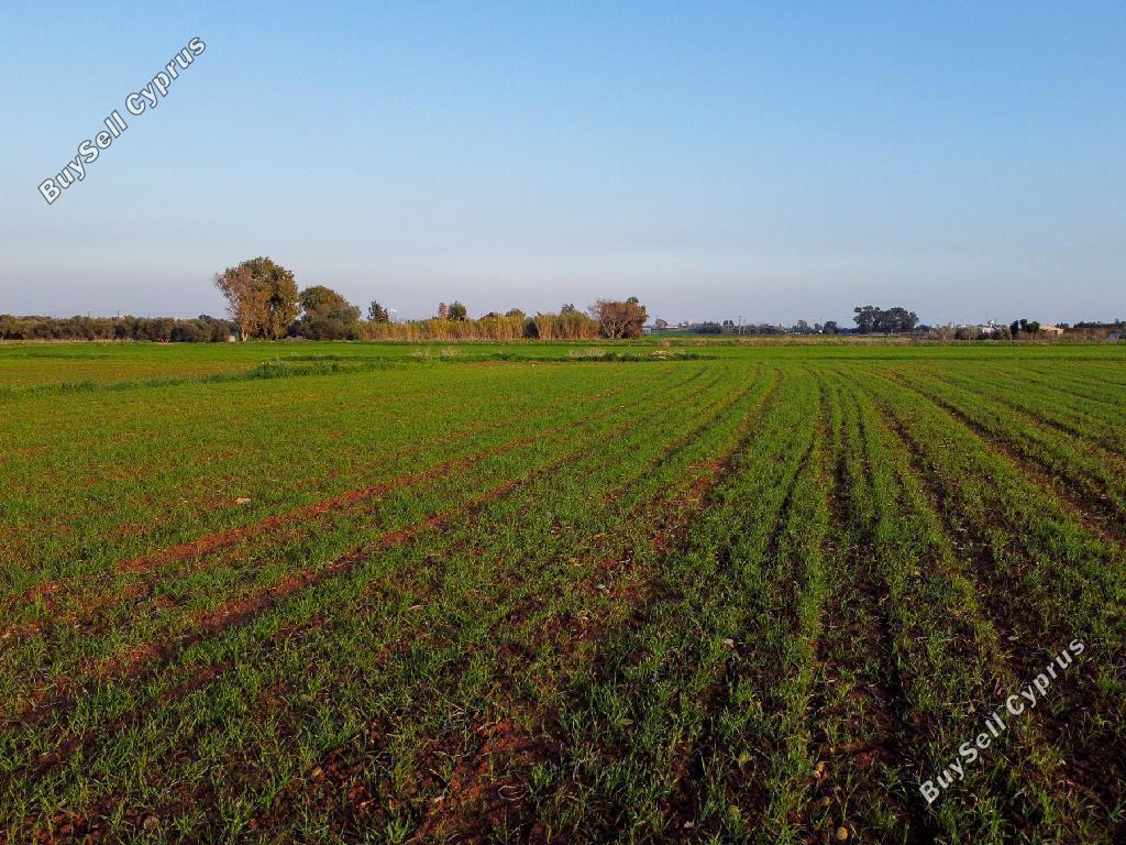 land for sale xylofagou larnaca 1657898 image 15864996