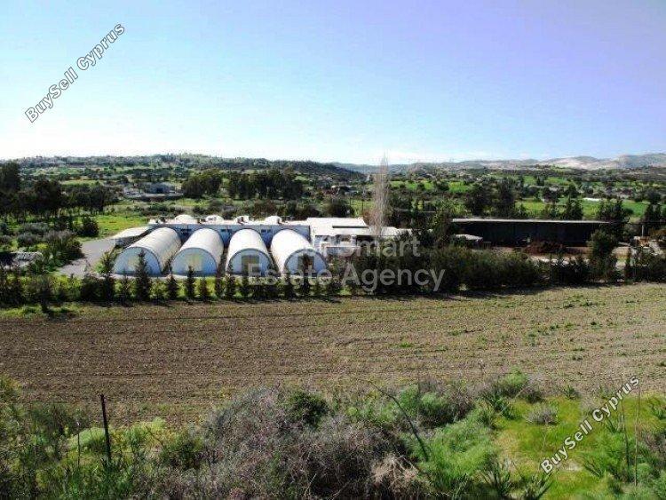 studio building for sale kalavasos larnaca 1419898 image 9217901
