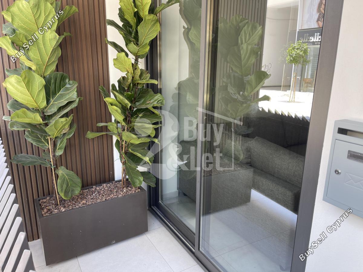1 bedroom apartment for rent larnaca municipality larnaca 8399998 image 15860717