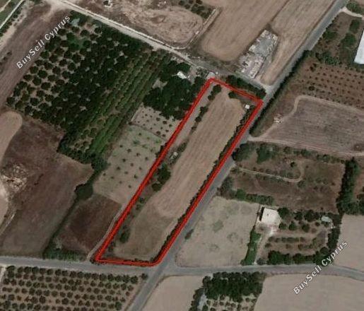 plot for sale geroskipou paphos 1680998 image 4371922