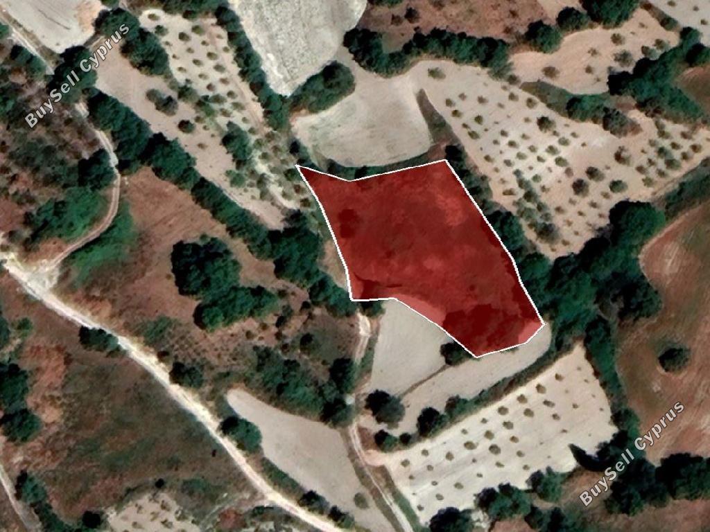 land off market stroumbi paphos 8665009 image 17011305