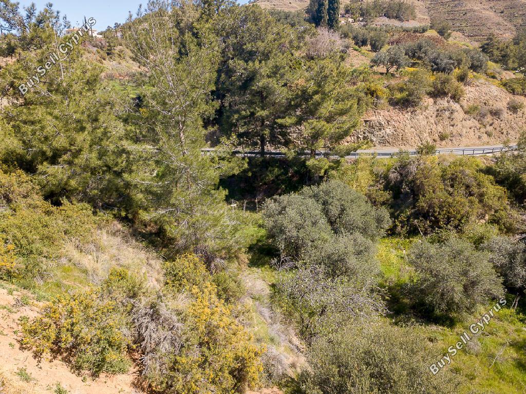 land for sale argaka paphos 1279109 image 15599405