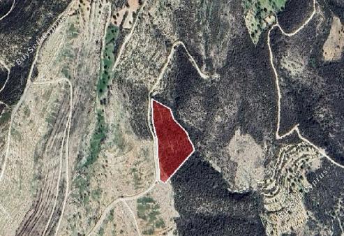 land for sale laneia limassol 1838209 image 16295410