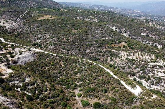 land for sale laneia limassol 1838209 image 16295411