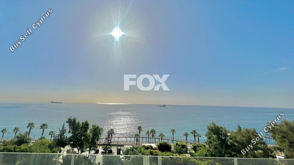 studio office for rent limassol municipality limassol 7756309 image 14598987