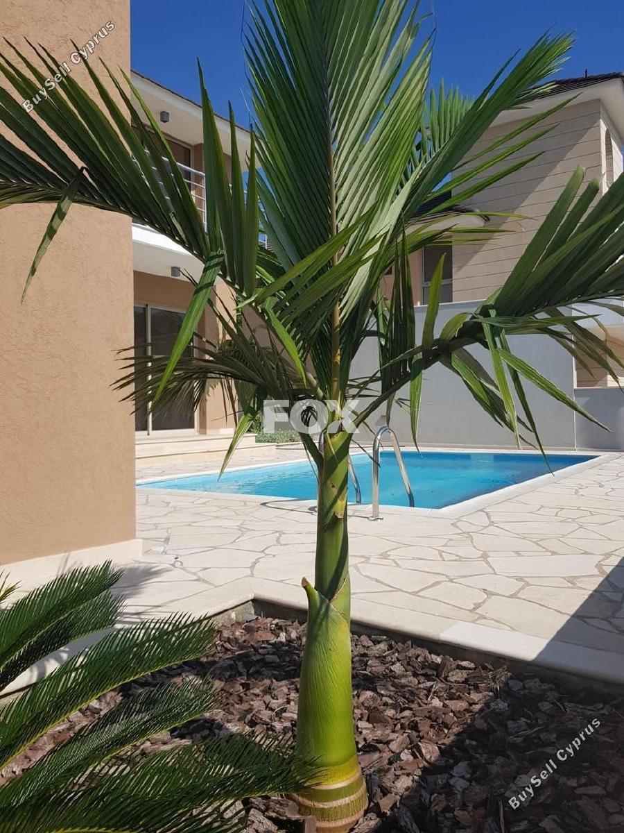 4 bedroom detached house for sale katholiki limassol 1850409 image 6685015