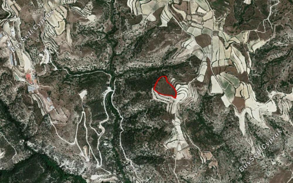 land for sale kallepeia paphos 828409 image 15177662