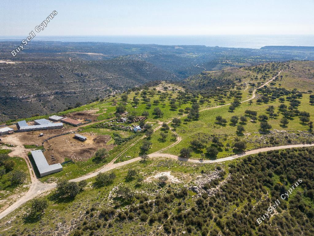 land for sale prastio avdimou limassol 967409 image 15603140