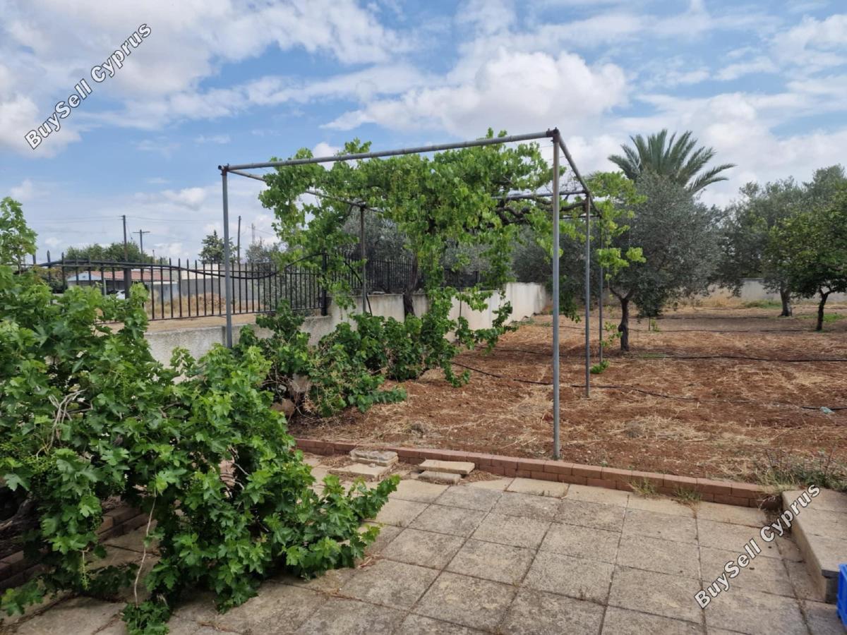 3 bedroom detached house for sale anafotida larnaca 1828509 image 16932309
