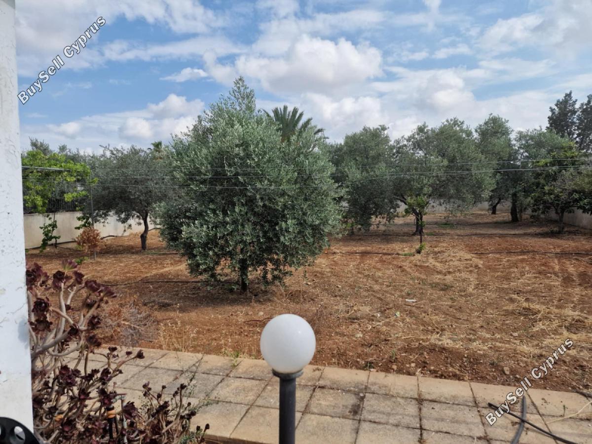 3 bedroom detached house for sale anafotida larnaca 1828509 image 16932311