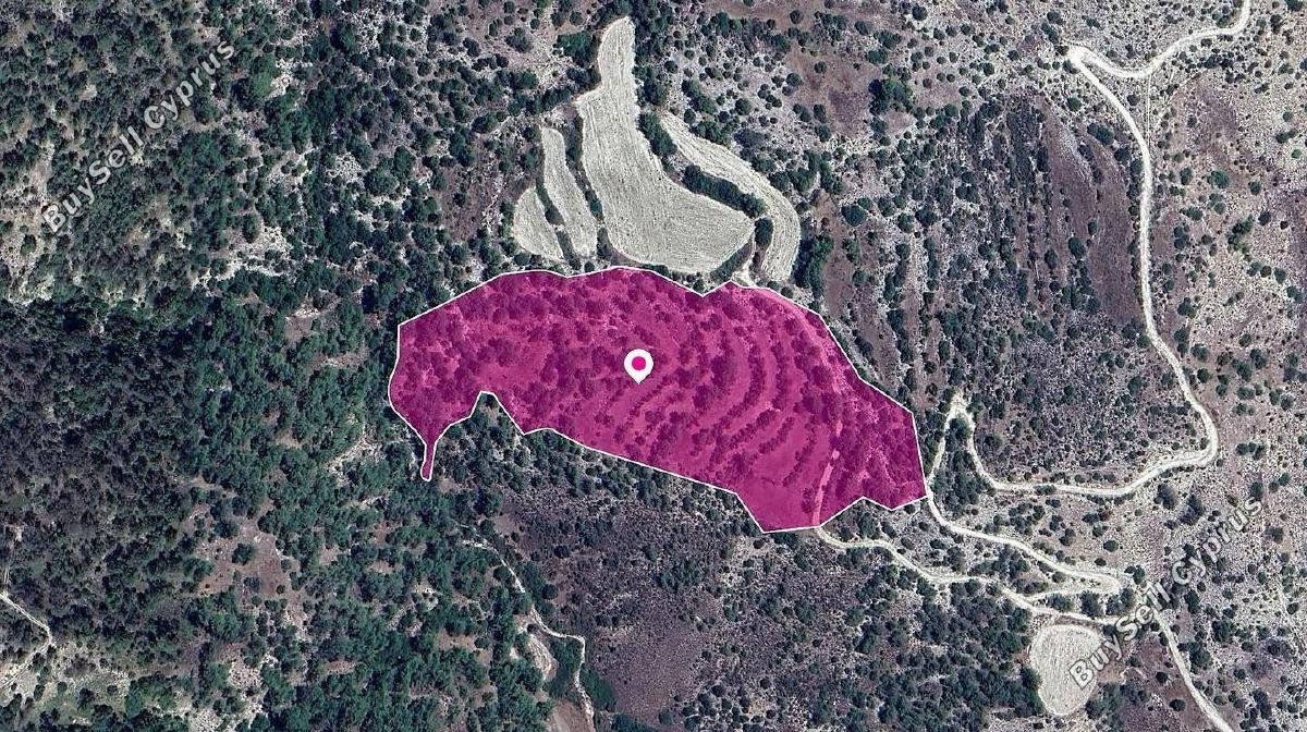 33446 SQM Land for sale in Amargeti, Paphos 14231297