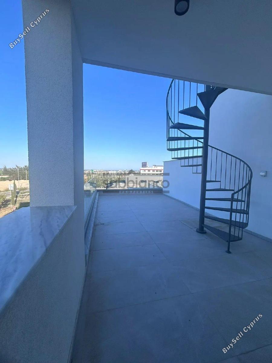 2 bedroom apartment for rent dromolaxia larnaca 8741609 image 16394391