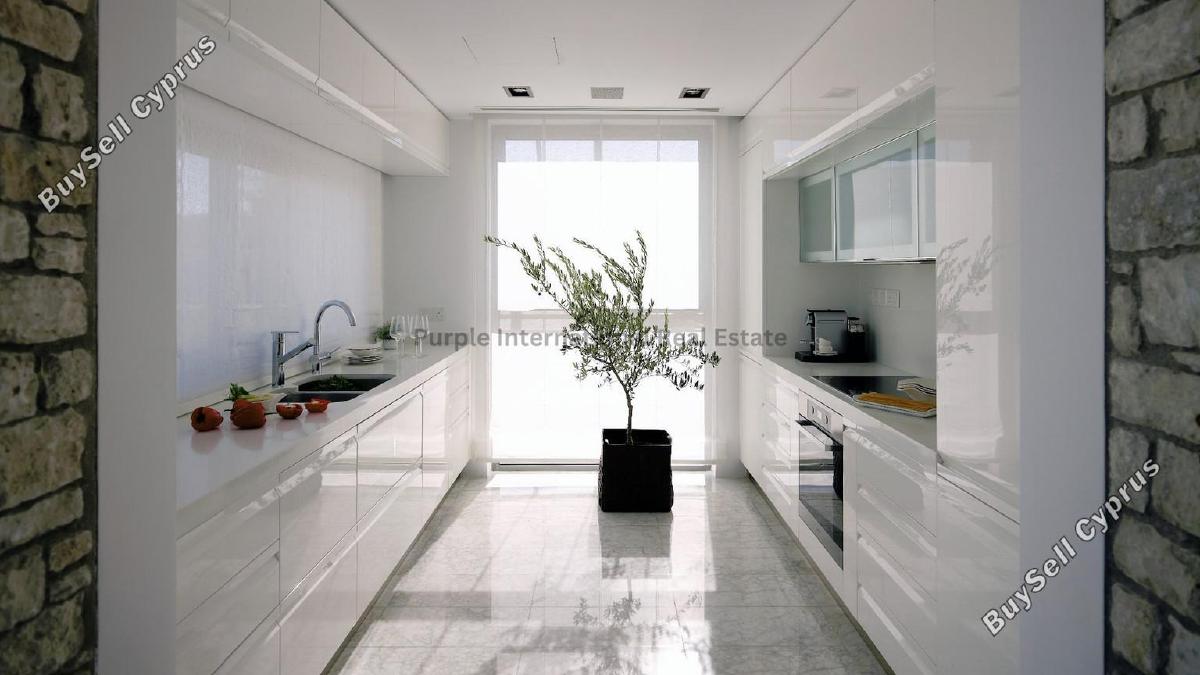3 bedroom detached house for sale tsada paphos 7543609 image 16529122